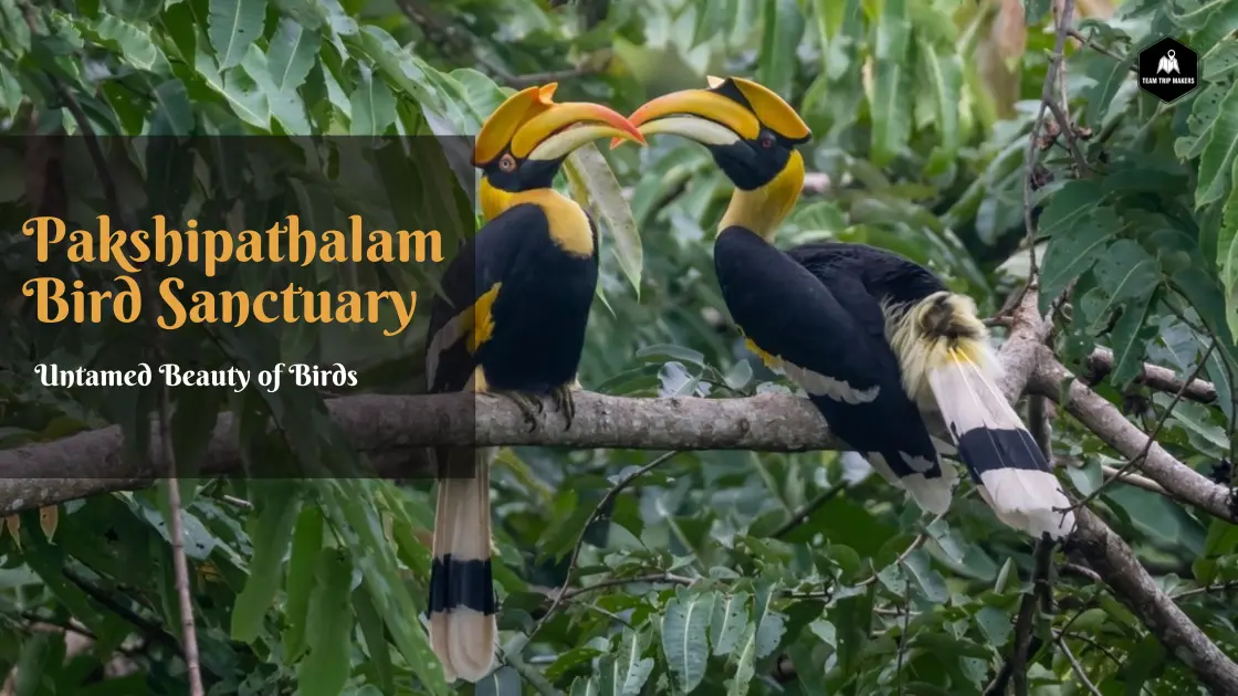 Pakshipathalam Bird Sanctuary