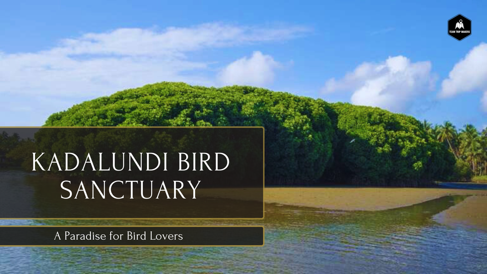 Kadalundi Bird Sanctuary – A Paradise for Bird Lovers