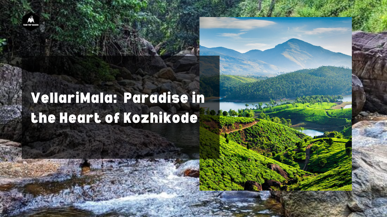 VellariMala: A Trekker’s Paradise in the Heart of Kozhikode